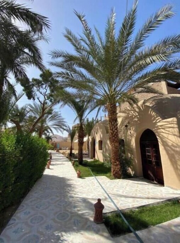 Property grounds - Single Room with Garden View (West Bank)