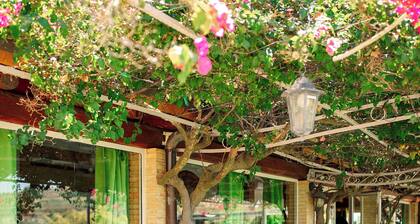 Agritourism. Accommodation x 2+1 persons with outdoor kitchen. Garden view