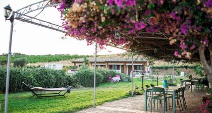 Agritourism. Accommodation x 2+1 persons with outdoor kitchen. Garden view