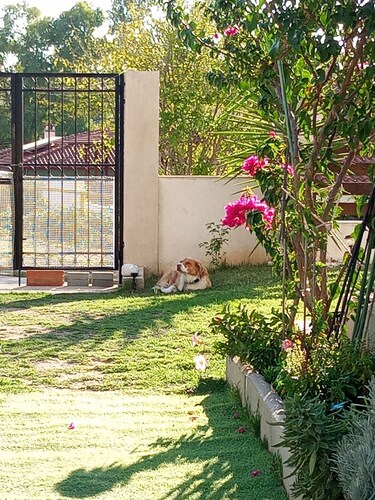 Nice studio with AC in charming Metamorfosi 5 minutes walk to the beach.