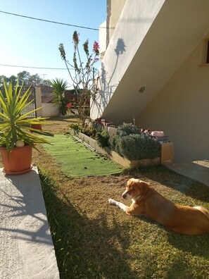 Property grounds