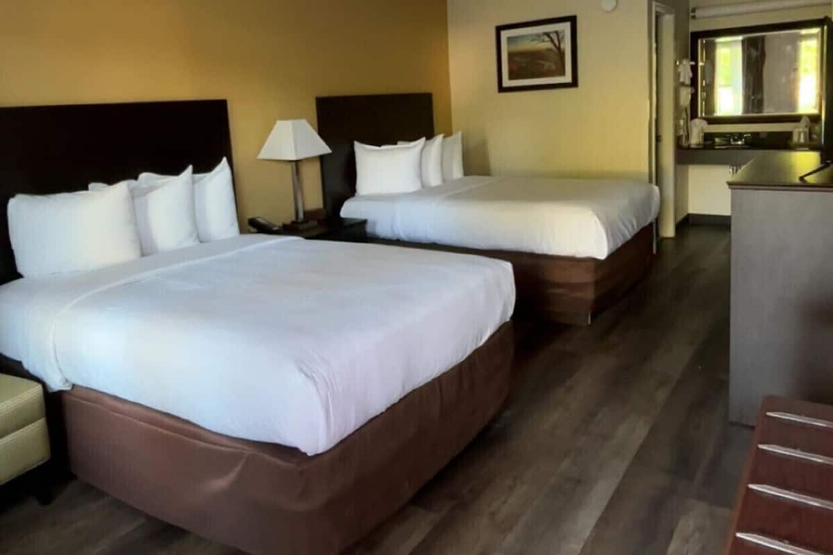 Desk, laptop workspace, blackout drapes, free WiFi