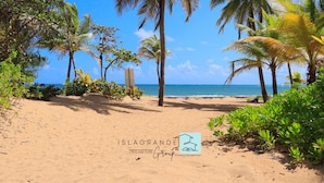 A beach with palm trees and a clear blue sky. - Charming Beachfront Retreat - Wake Up to Waves - 2 BD Apt with AC at Río Grande (Río Grande)