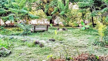 Vista al jardín