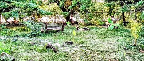Vista al jardín