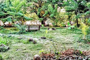 Garden view
