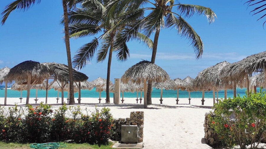 STUDIOS and SUITES Ducassi ROOFTOP POOL