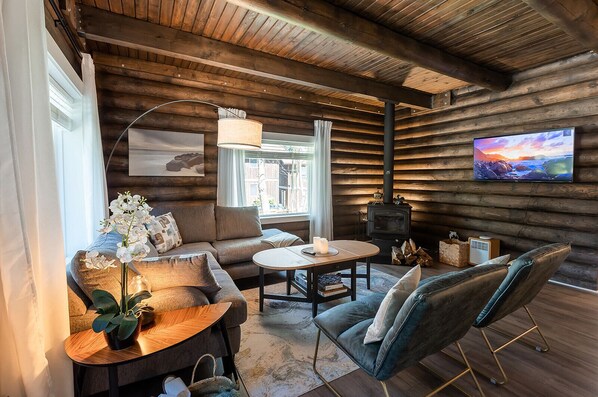 Smart TV, chimenea, libros y estéreo