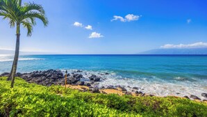 A beach with clear blue water, a palm tree, and rocky shoreline. - Kuleana Club - 404 (Lahaina)