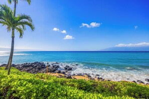 Appart'hôtel Classique, 1 chambre, véranda, vue océan | Vue sur la plage/l’océan
