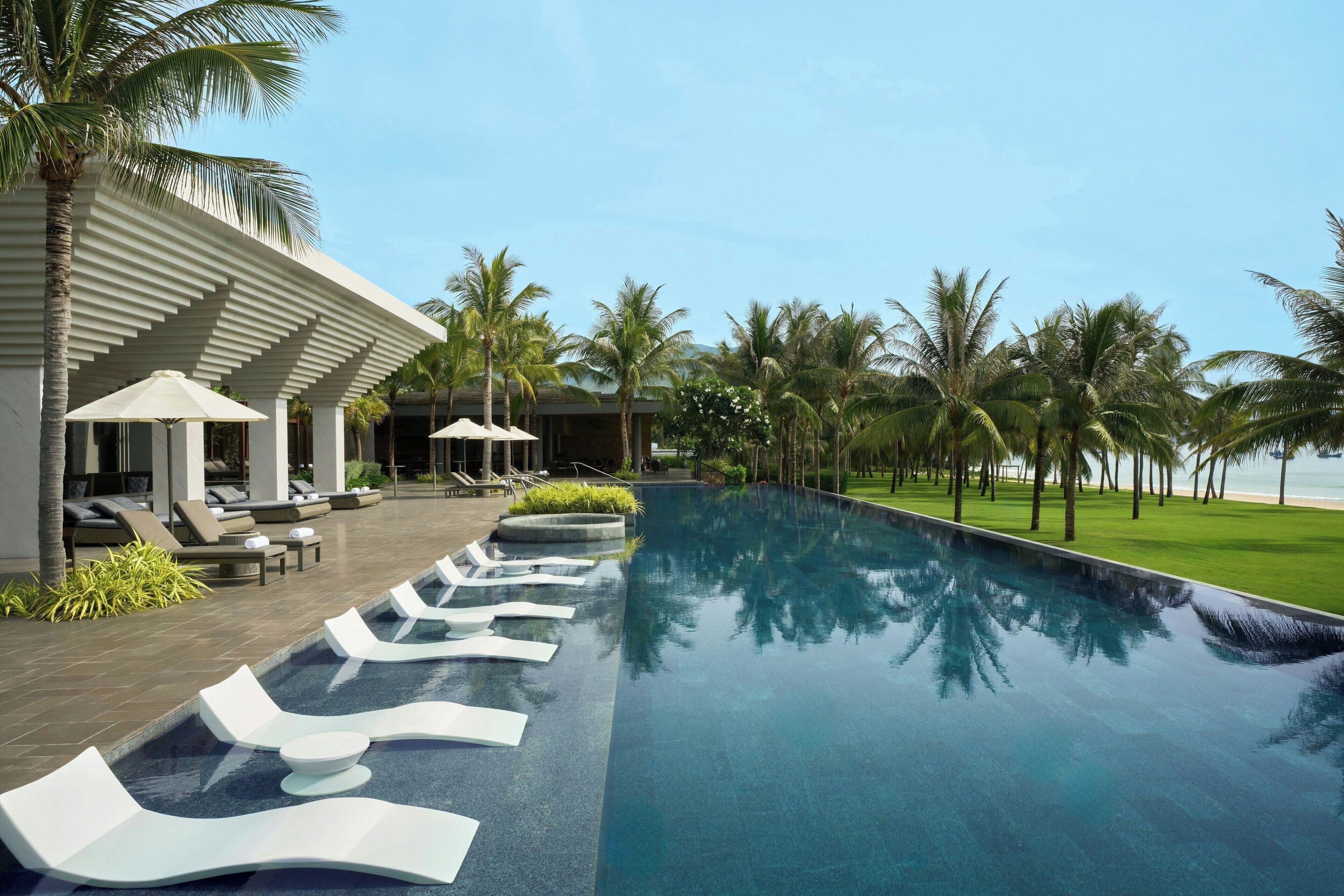 A poolside area with lounge chairs and umbrellas, palm trees, and a clear sky.