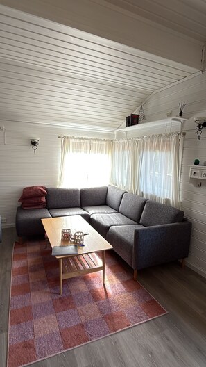 Smart-TV, Kamin, Bücher