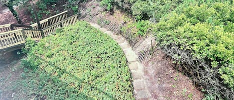 施設の敷地