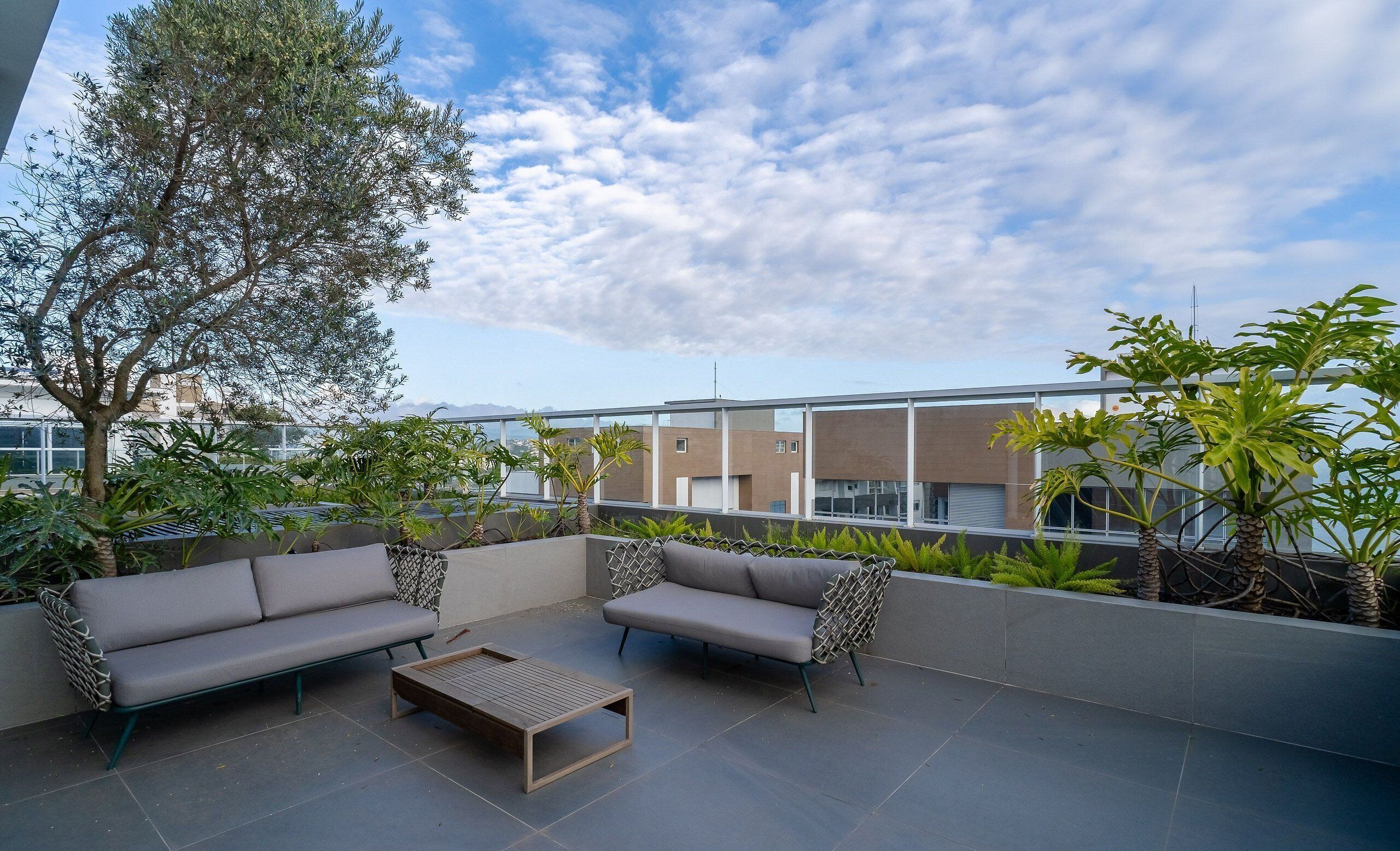 基本公寓 | 露台/庭院