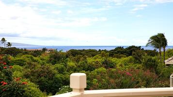 Condo (3 Bedrooms) | Property grounds