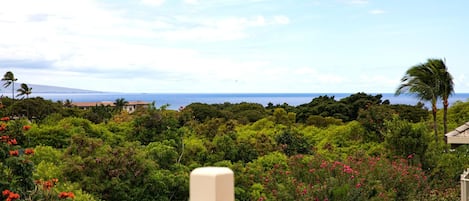 Condo (3 Bedrooms) | Front of property