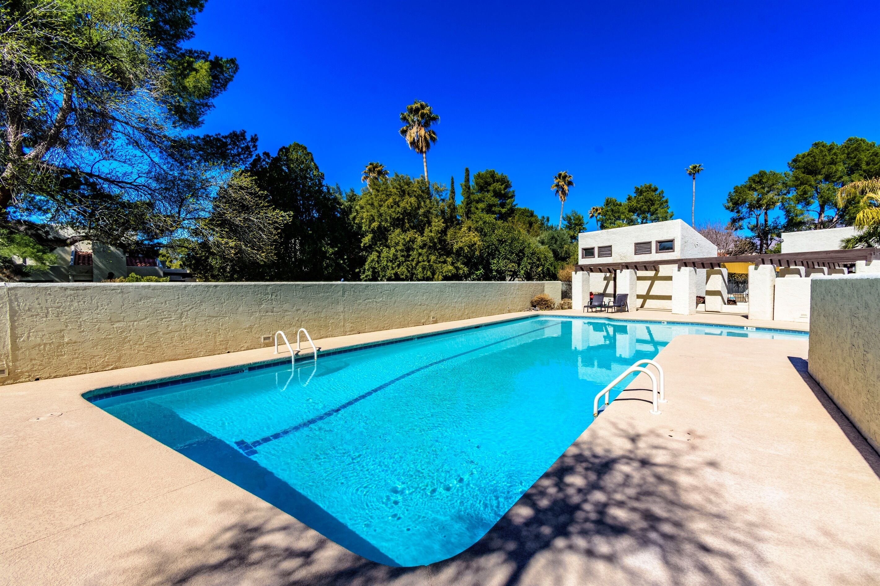 A rectangular swimming pool with clear blue water, surrounded by a concrete deck and a low stone wall.