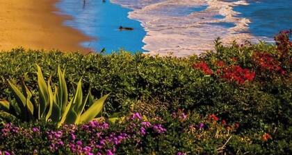 Montecito Casita Pequena!