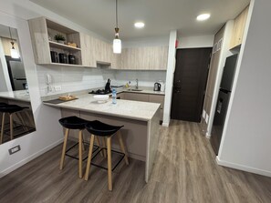 Private kitchen - 1 Bedroom, San Isidro Apartment (San Isidro)