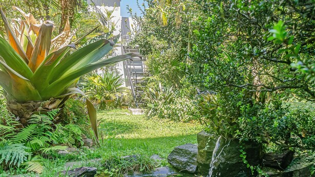 A lush garden with a small pond, various plants, and a staircase leading to a building in the background. - Aconchegante Loft Centro Hist Petrópolis ATO3091 (Petrópolis)