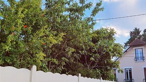 A white picket fence, a house with a balcony, and dense green foliage. - New studio with AC / free charging parking（NO.5） (Villemomble)