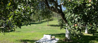 Cozy home in Petrinja with WiFi