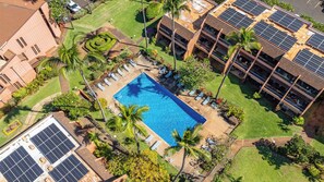 Outdoor pool, open 9:00 AM to 9:00 PM, pool loungers