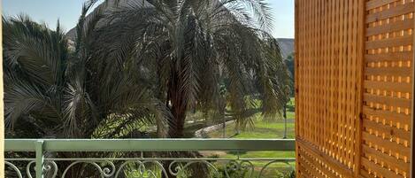Un balcón con vista a una palmera y una valla de madera.