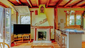 Ein Wohnzimmer mit Kamin, Fernseher und Barbereich.