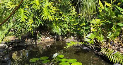 Cool cottage with AC in Keaau