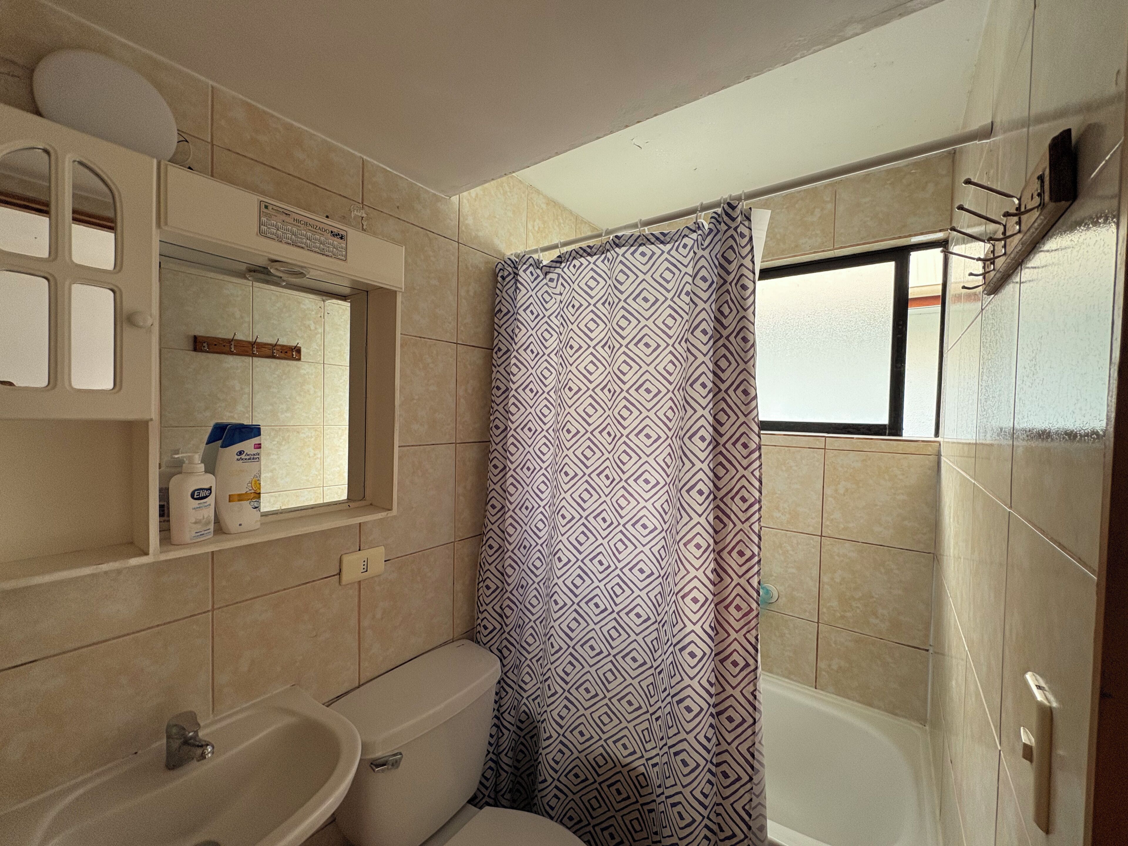 A small bathroom with a toilet, sink, and shower curtain.