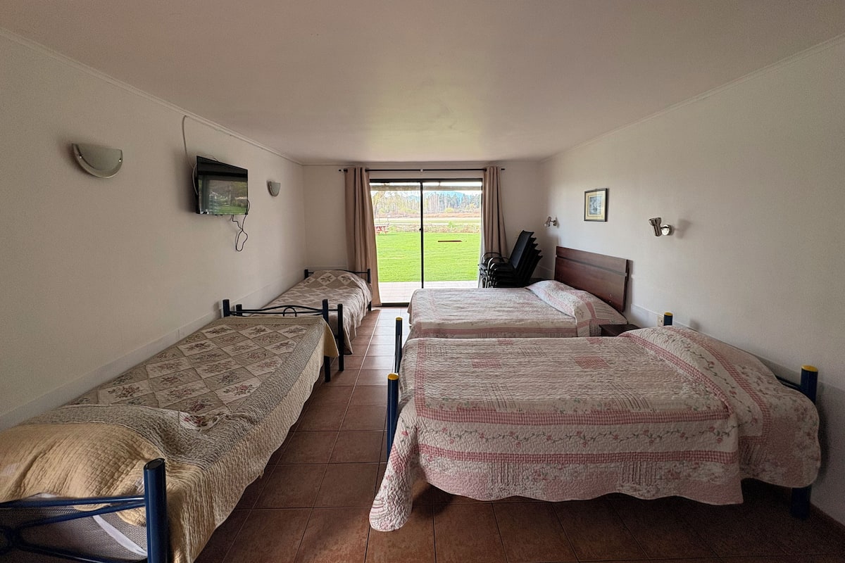 A hotel room with two single beds, a TV on the wall, and a view of a green lawn through the window.