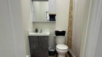 A narrow bathroom with a toilet, sink, and mirror.