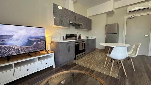 Private kitchen - Deluxe One-Bedroom Apartment with City View (Oshawa)