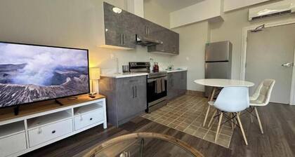 Deluxe One-Bedroom Apartment with City View