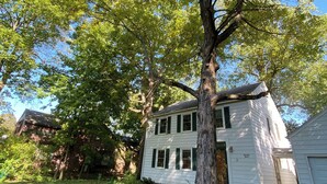 A two-story white house with a large tree in front. - Family-friendly home, beautiful fenced-in yard, short walk to Ball State Campus (Muncie)