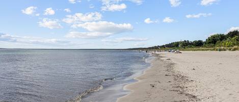 بالقرب من الشاطئ