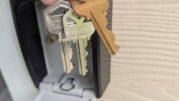 A hand holding keys above a key storage device with a reset button.