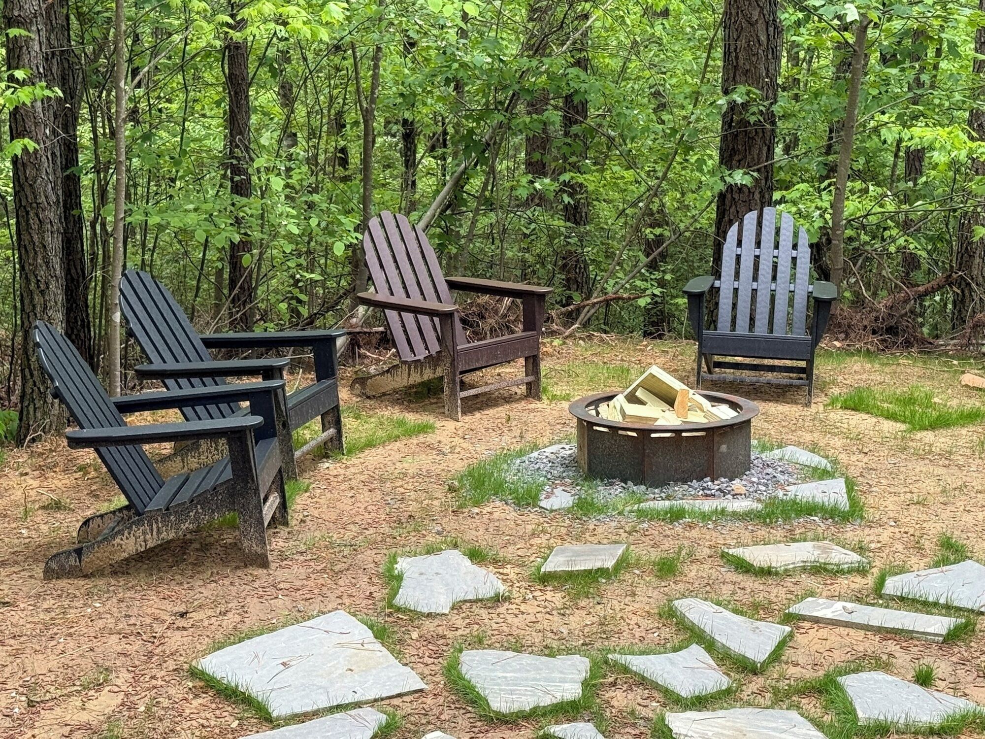 A forested area with Adirondack chairs arranged around a central fire pit.