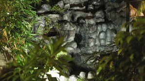 住宿正面