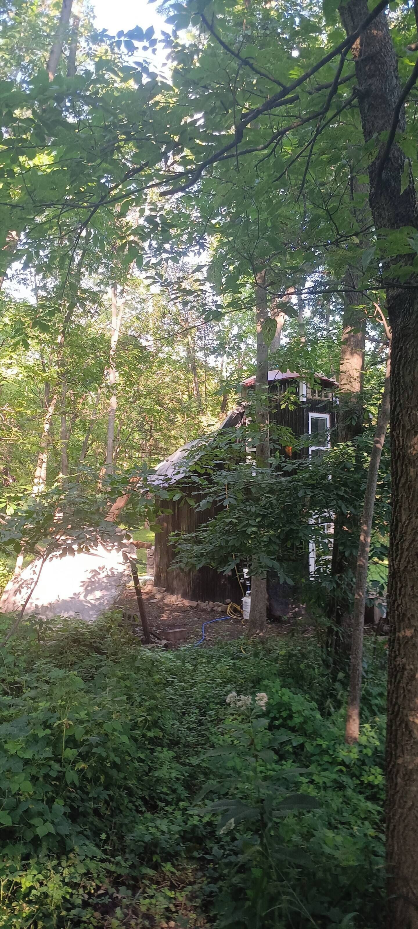 A rustic cabin surrounded by dense forest.