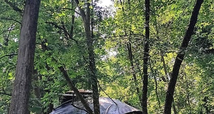 Irving's Gnome Dome Mushroom Sculpture Tiny House