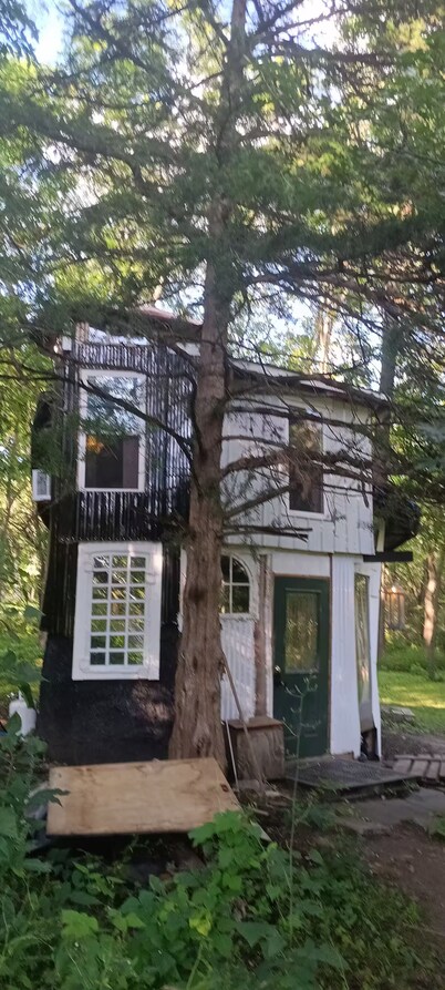 Irving's Gnome Dome Mushroom Sculpture Tiny House