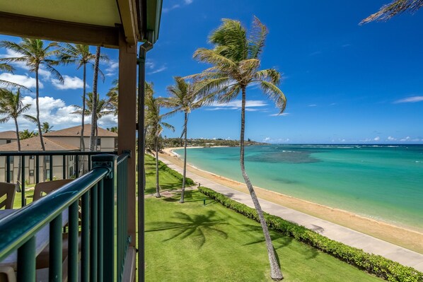 Property grounds - Oceanfront condo with pool, hot tub, sauna, tennis, BBQ, putting green, & lanai (Kapaa)
