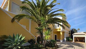 Een geel gebouw met een klinkerbestrate oprit, een palmboom en verschillende planten.