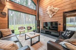 Smart-TV, Kamin