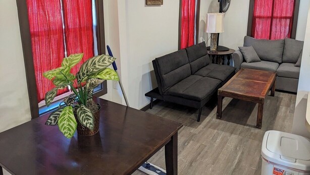 Ein Wohnzimmer mit einer Couch, einem Couchtisch und einer Topfpflanze.