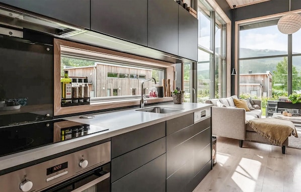 Fridge, oven, stovetop, dishwasher