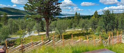 المنطقة المحيطة بالمنشأة