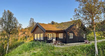 Gorgeous home in Rauland with sauna